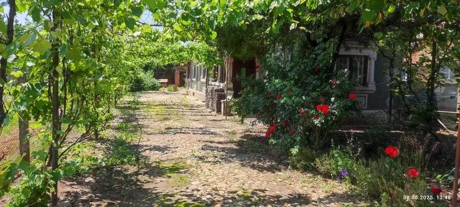 Casă cu 4 camere cu Teren 2700 Mp în Teiș