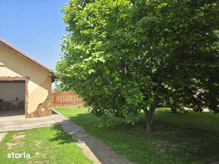 Casă cu 7 camere cu Teren 1230 Mp în Borș