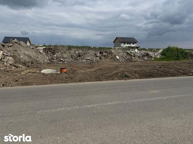 Teren intravilan asfalt Poiana 437mp/14.5 deschidere - 2
