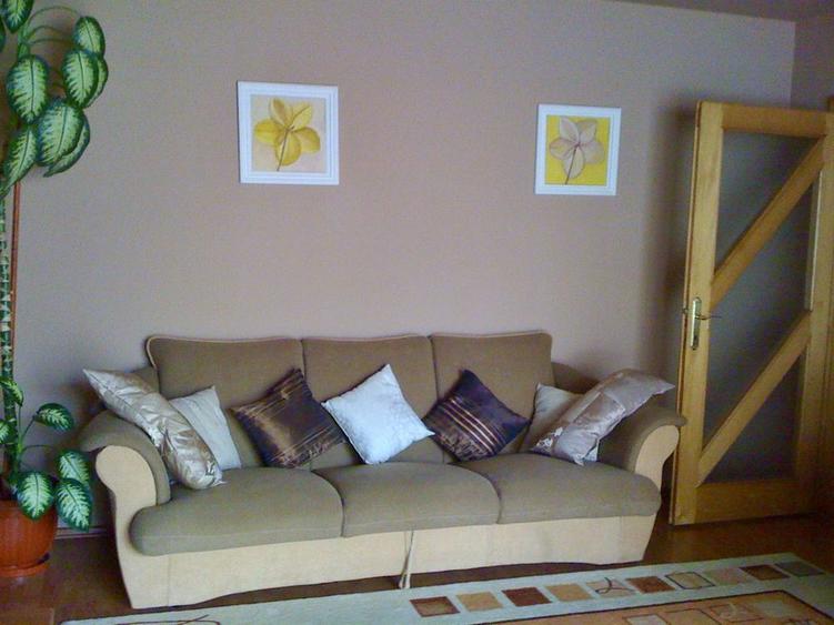 Pers. Fizica Vand apartament cu 3 camere Cetate locatie excelenta - 8