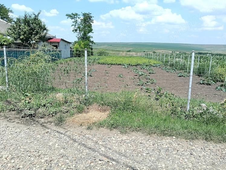 Teren de 2950 mp, în Unțeni