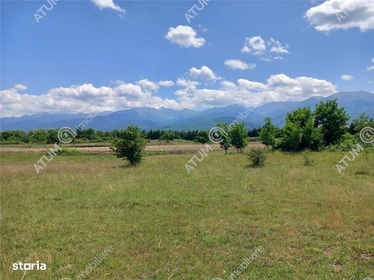 Spațiu comercial, în Avrig