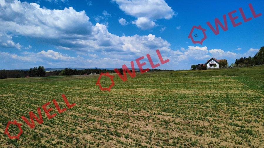 Teren agricol extravilan de 2900 mp, în Reci