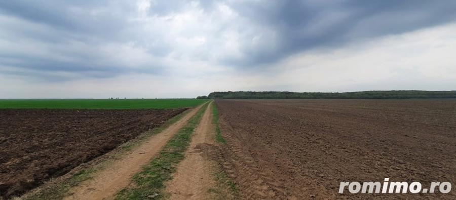 Teren de 27500 mp, în Belciugatele