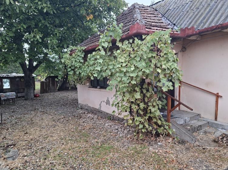 Casă cu 2 camere în Victor Babeș