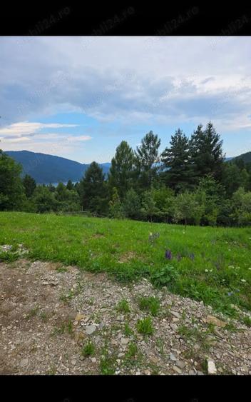 Teren de 2000 mp, în Hangu