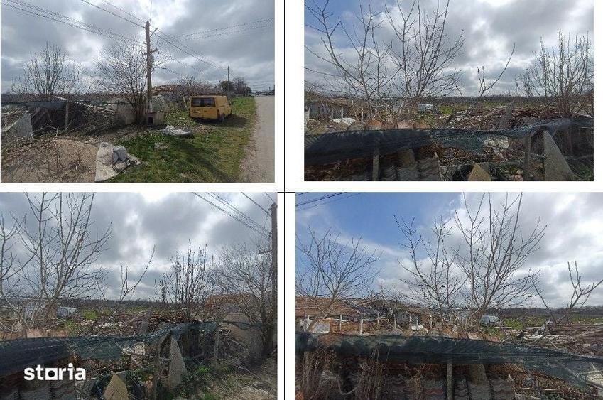 Teren Baraganu, ID: R3055061 - 9