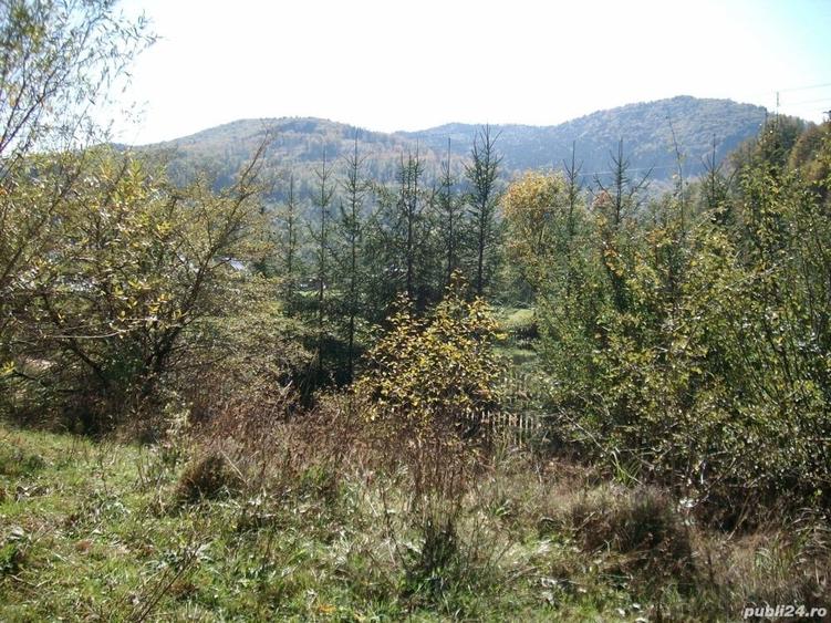 Teren de 1500 mp, în Molid