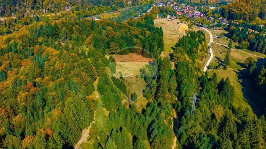 Teren Construcții intravilan de 2400 mp, în Timișu de Jos