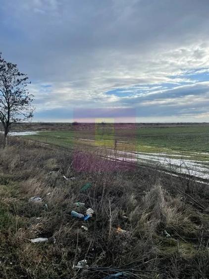 Teren de 24108 mp, în Sud