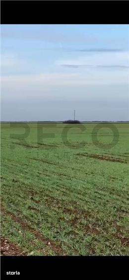 Teren de 8632 mp, în Nojorid