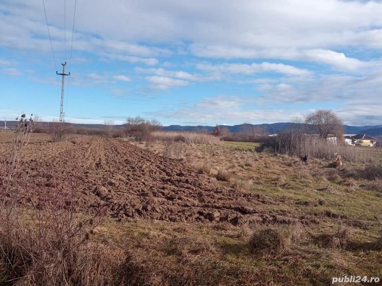 Teren de 2500 mp, în Beriu