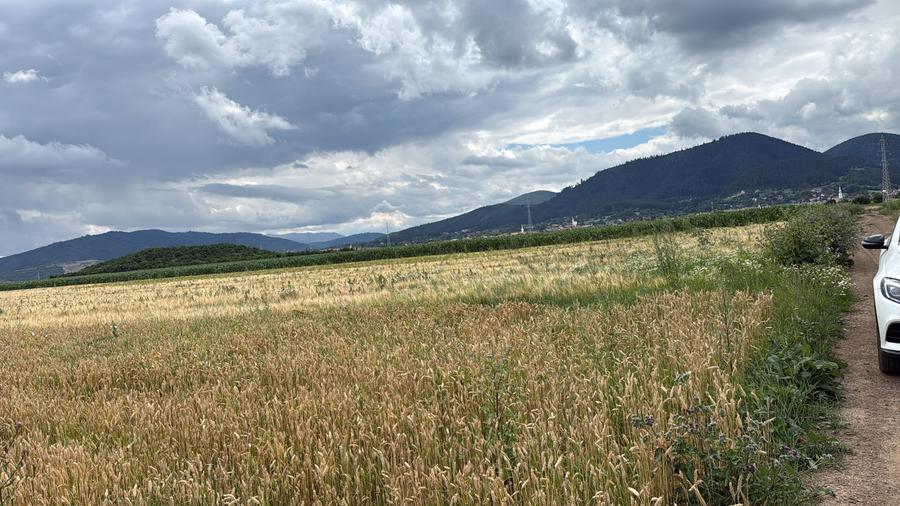 BRASOV,Teren agricol 19.600 mp, 1,96 ha/ Săcele,Front stradal 56 ml,Investiție - 1