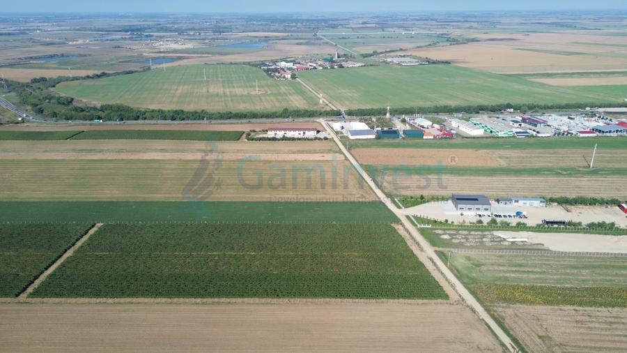 Teren Construcții intravilan de 66400 mp, în Biharia