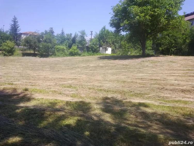 Teren de 4000 mp, în Copăceni
