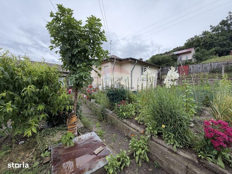 Casă cu 3 camere în Nord