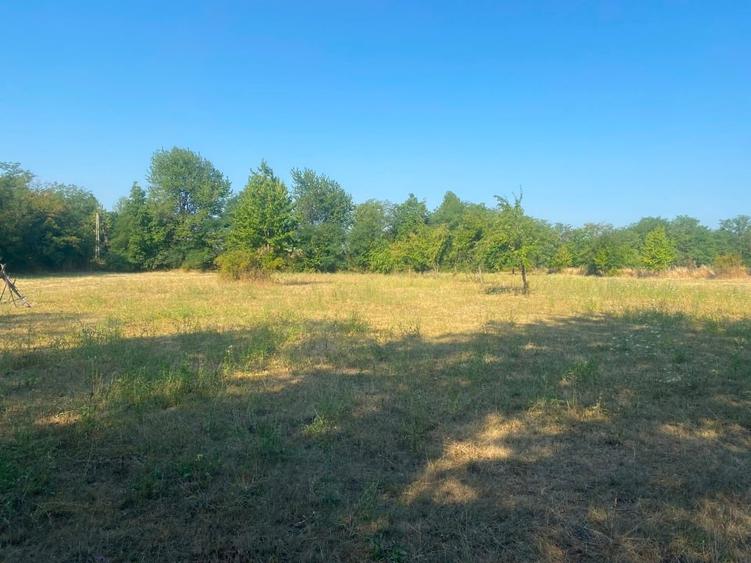 Teren intravilan de 3547 mp, în Polovragi