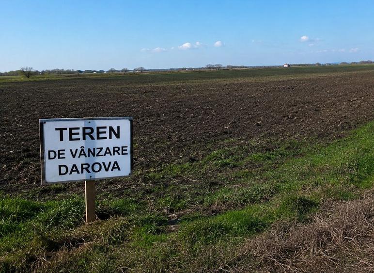 Teren agricol extravilan de 50000 mp, în Darova
