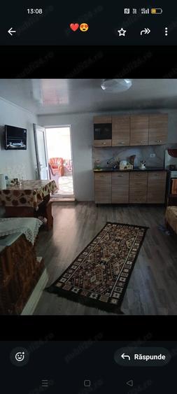 casa de vanzare urgent cu vie ?i pomi fructiferi - 4
