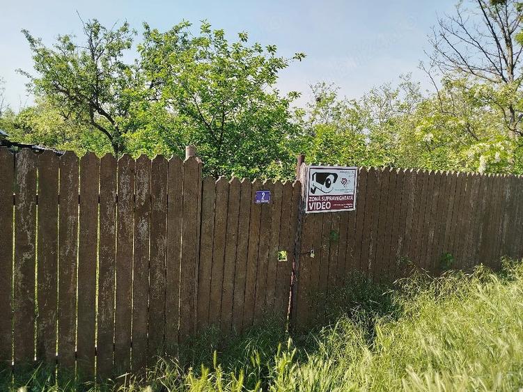 Casa buna si teren Malu Rosu Arma?e?ti jud. Ialomi?a - 5