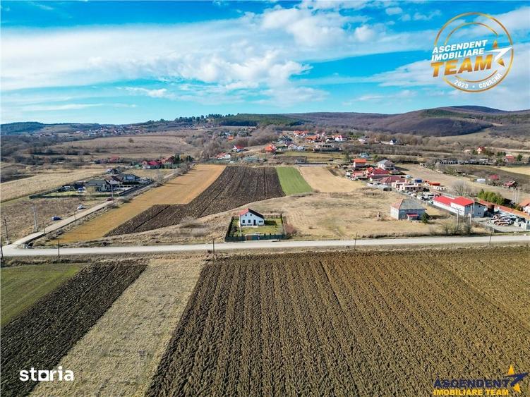 Teren de 31605 mp, în Ilieni