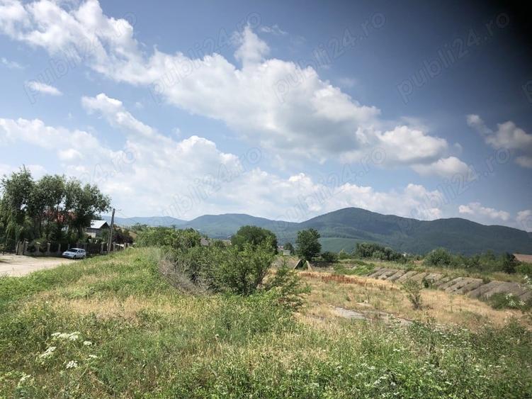 Teren de 5470 mp, în Ciritei