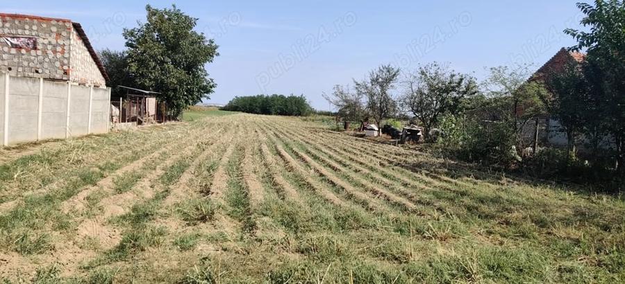 Teren de 2700 mp, în Belinț