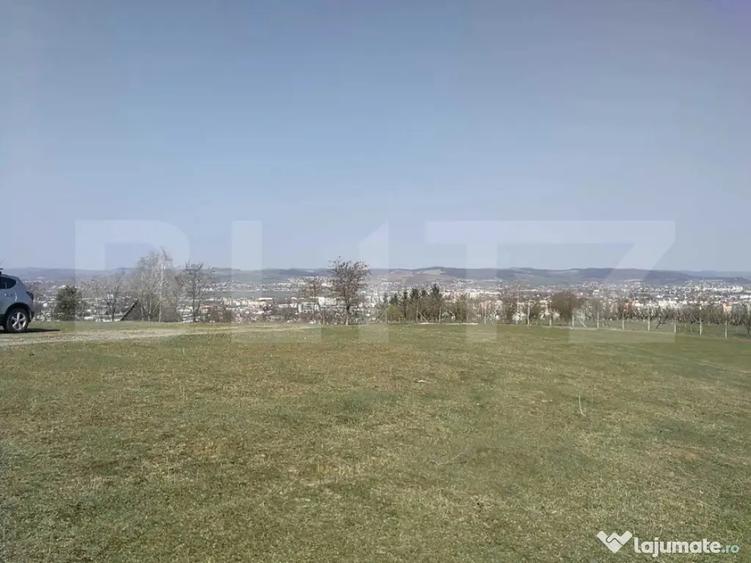 Teren de 15904 mp, în Dâmbu Pietros