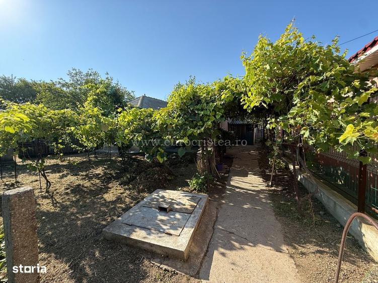 Casă cu 4 camere cu Teren 1531 Mp în Pecineaga