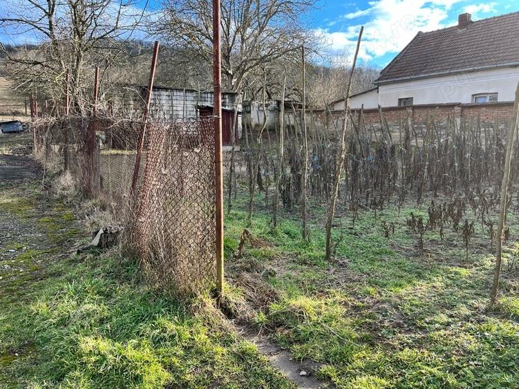 Teren de 8000 mp, în Simeria Veche