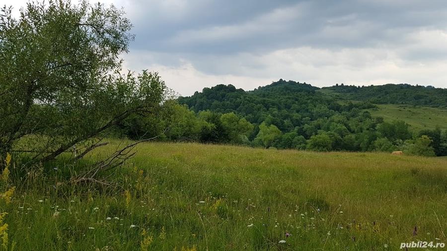Teren de 3013 mp, în Valea