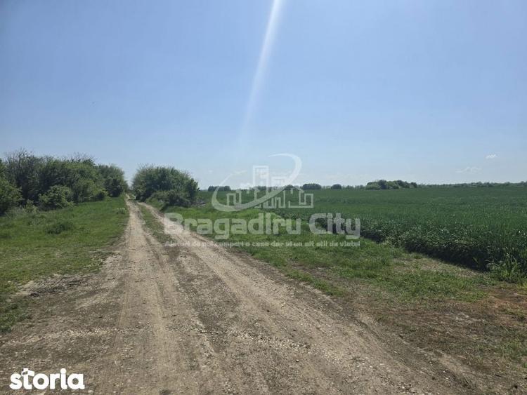 Teren Ordoreanu parcelat ideal investitie - 5