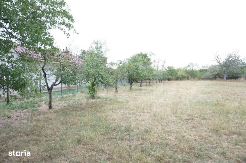 Teren intravilat 1777 mp, front 16 m, zona centru Aricestii Rahtivani - 5