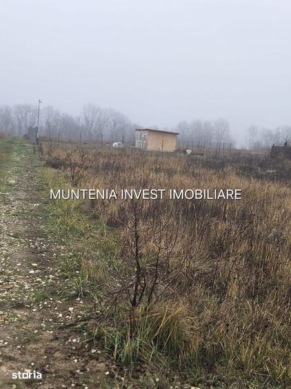 De vanzare 470 mp. intravilan, Mosoaia - 3