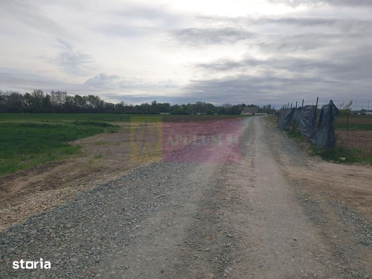 Teren ideal dezvoltare imobiliara in Magurele strada Atmosferei - 2
