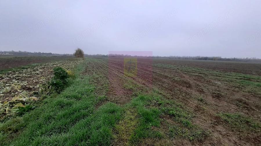 Teren de 2250 mp, în 1 Decembrie
