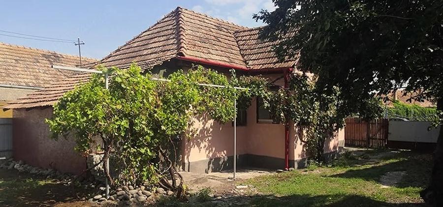 Teren de 12000 mp, în Ierbuș