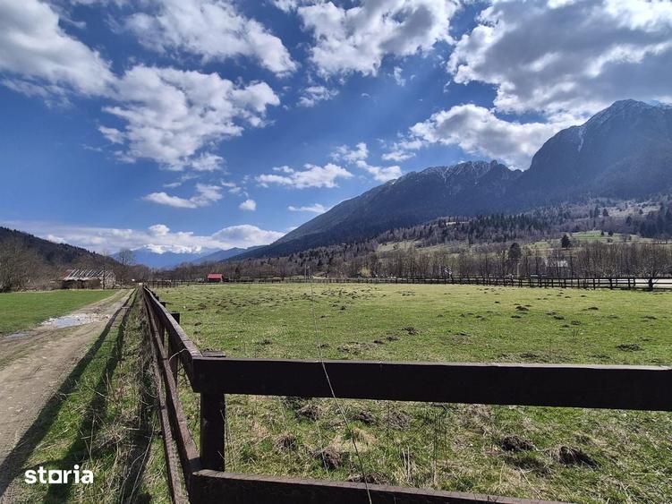 Oportunitate investitie teren Plaiul Foii Zarnesti, Brasov - 2