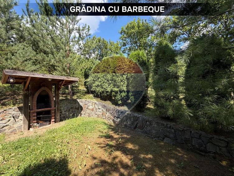 Casă individuală cu 3 camere cu Teren 1594 Mp în Valea Borcutului