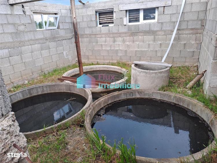 Casă cu 4 camere cu Teren 10000 Mp în Fântâna Mare