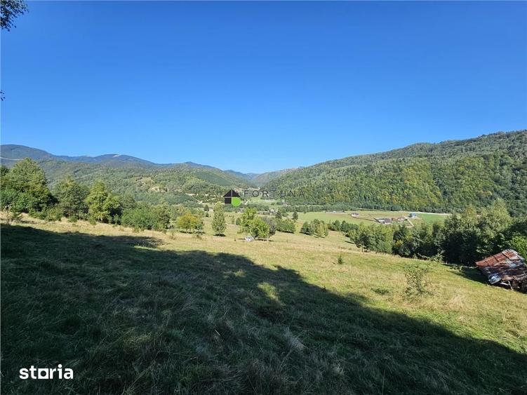 Teren de 21432 mp, în Plaiul Foii