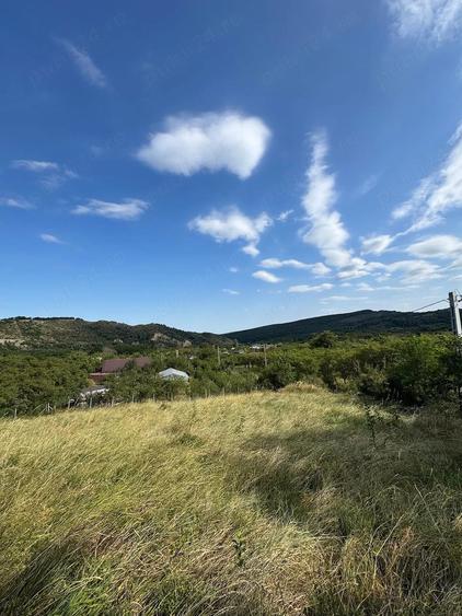 Teren de 2580 mp, în Poiana