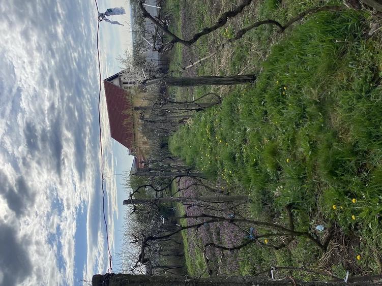 Casă cu Teren 1100 Mp în Cordău