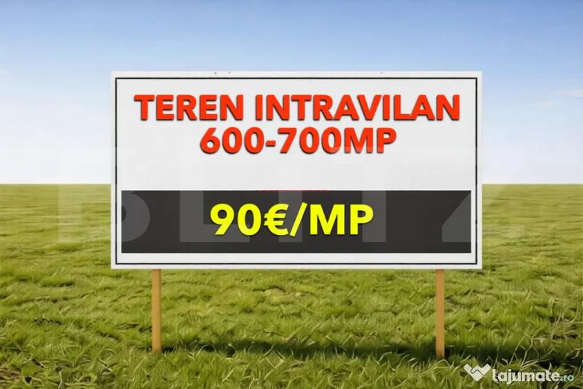 Teren intravilan 600700 mp cu utilita?i Mosnita Noua - 1