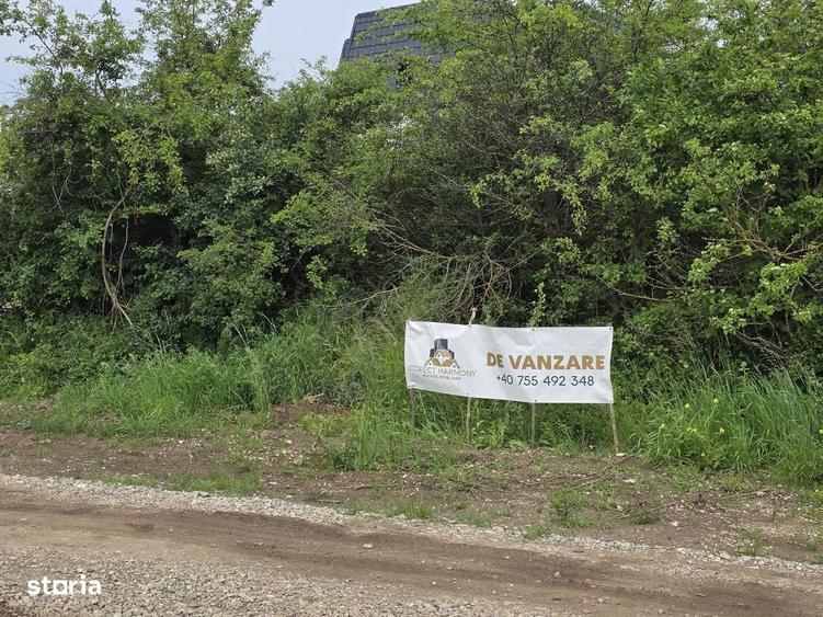 Spațiu comercial, în Sânpetru