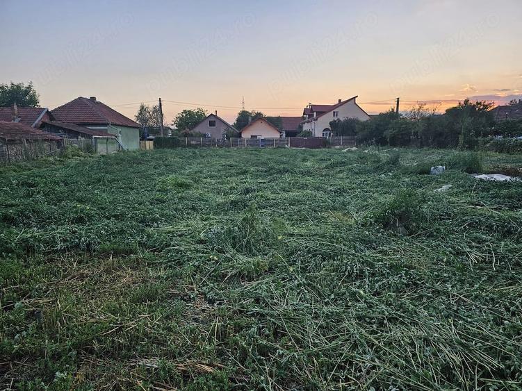 Teren de 2000 mp, în Băcia