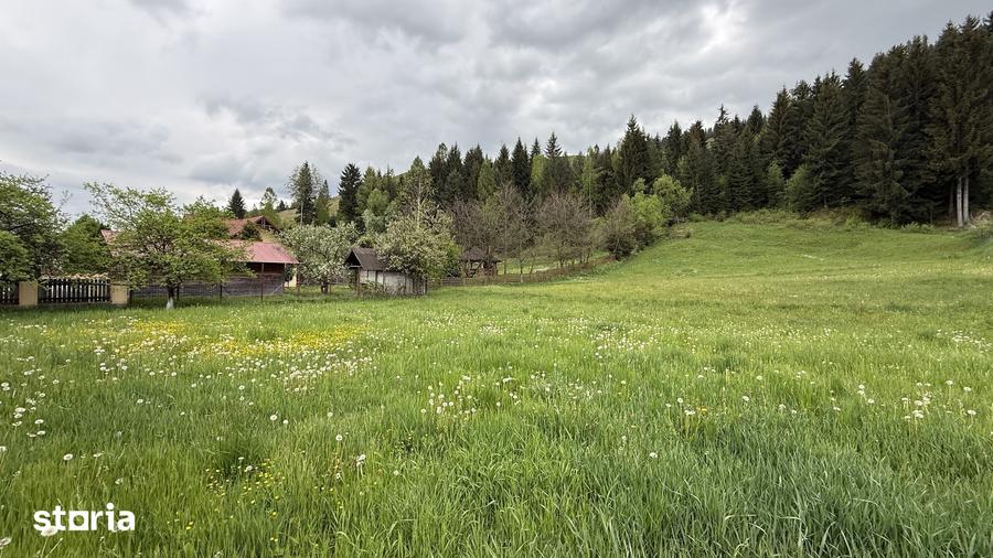 Teren de 2869 mp, în Fundu Moldovei