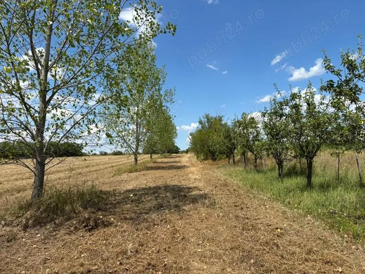 Casă cu 6 camere cu Teren 16351 Mp în Viile Satu Mare