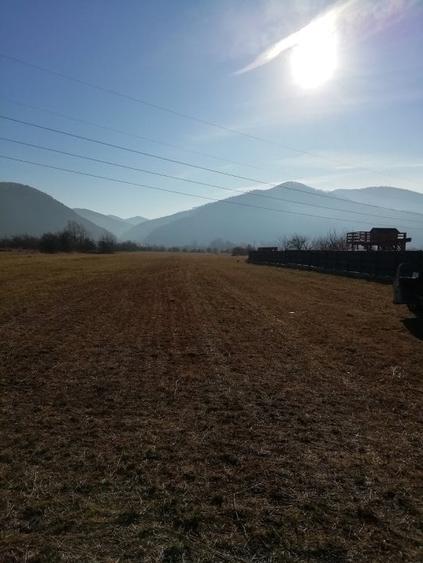 Teren Construcții intravilan de 2646 mp, în Vest