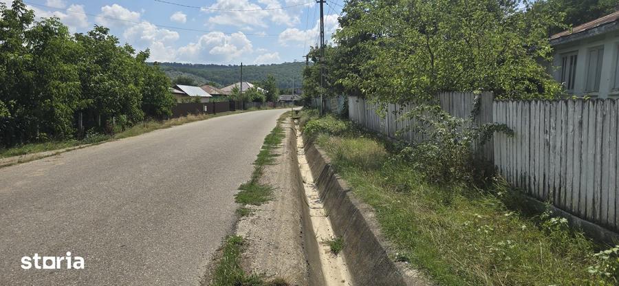 Teren de 5000 mp, în Horlești